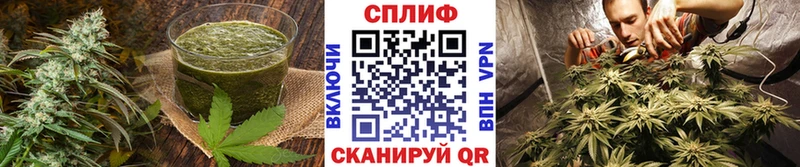 дарк нет состав  Дальнереченск  Печенье с ТГК марихуана  где купить  