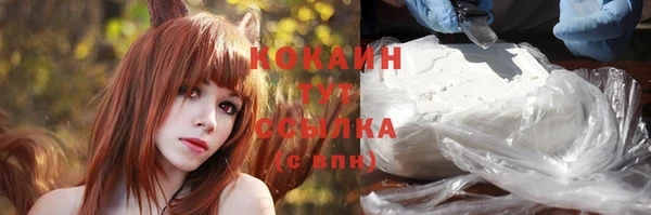 кокс Галич