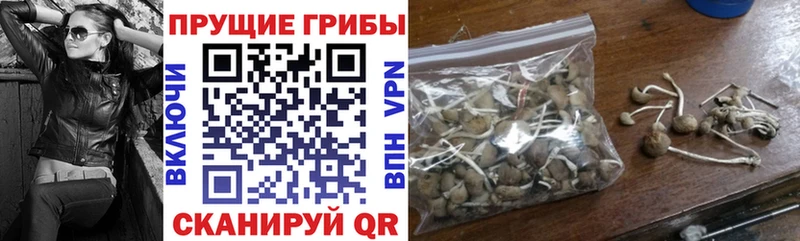 Псилоцибиновые грибы прущие грибы  shop наркотические препараты  Дальнереченск 